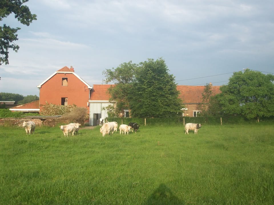 Hoeve De Waterkant